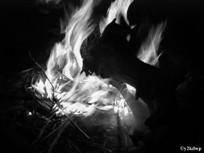 Crackle
