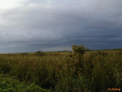 Storm Clouds and Sawgrass