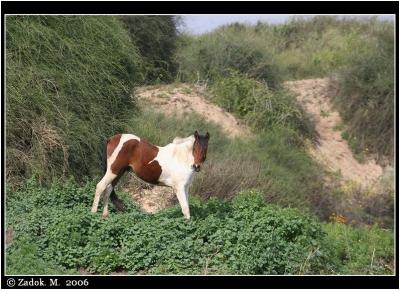 PC-IMG_3829.jpg