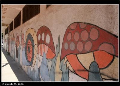 PC-IMG_8482.jpg