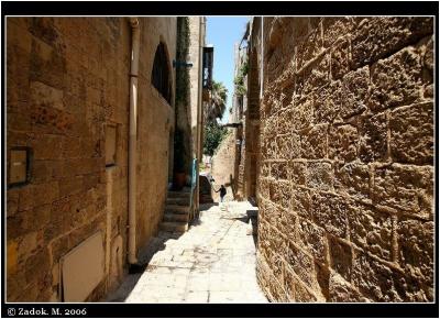 PC-IMG_8508.jpg