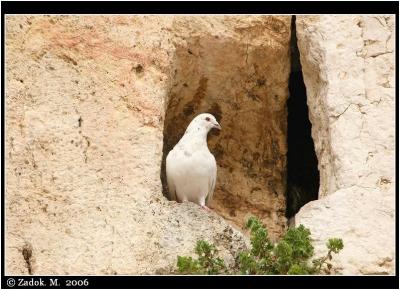 PC-IMG_7753.jpg