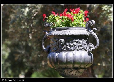 IMG_9169.JPG