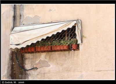 PC-IMG_9501.JPG