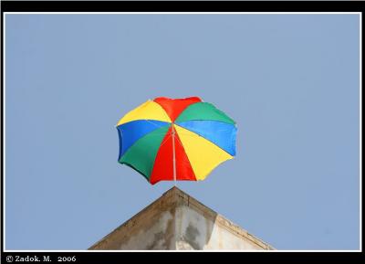 PC-IMG_9506.JPG