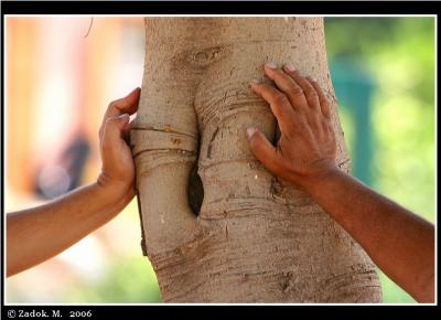 PC-IMG_9516.JPG