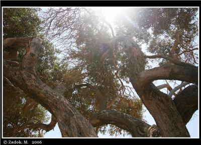PC-IMG_9547.JPG