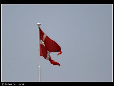 PC-IMG_9578.JPG