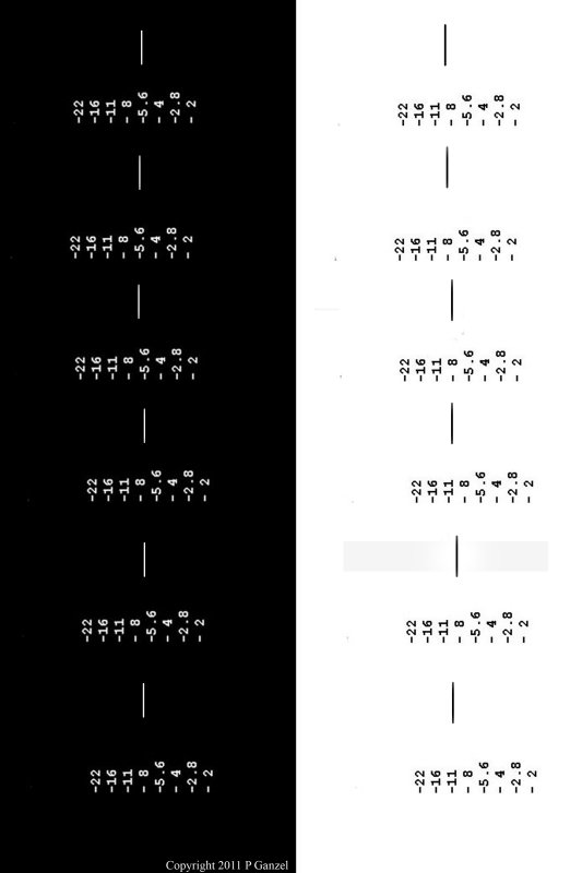 Dual Scale NEX.jpg