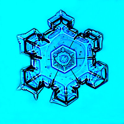 DSC00371Blue Mandala.jpg