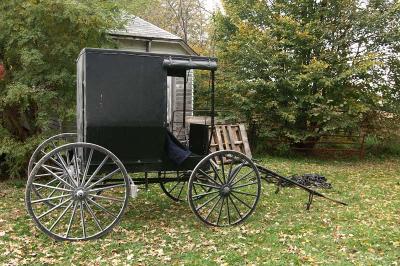 Amish Buggy 1081.jpg