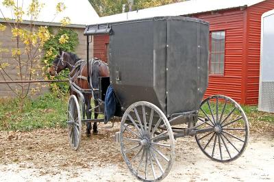 Amish Buggy 1083.jpg