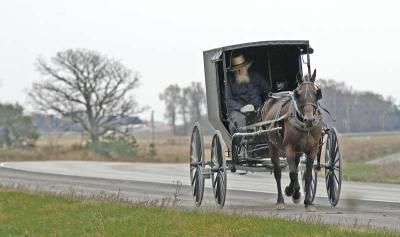Amish Harmony