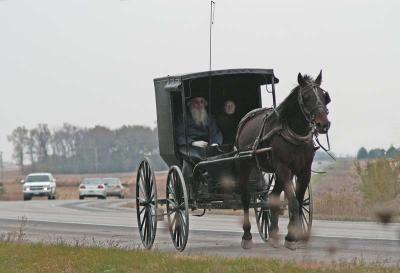 Amish On the Road 1107.jpg