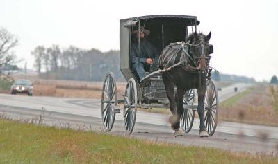 Amish on the Road 1113.jpg