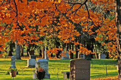Sugar Maple Stones 1248.jpg