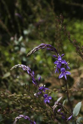 _MG_0187.jpg