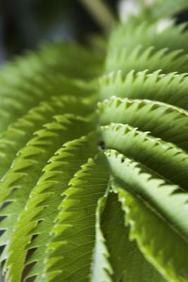 _MG_0270.jpg