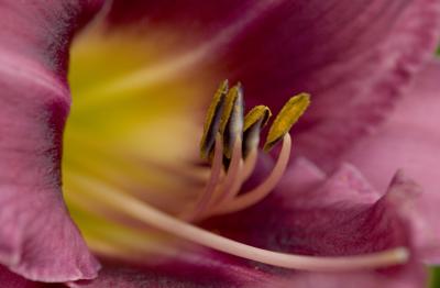 _MG_3132.jpg