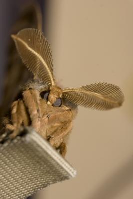 _MG_4082.jpg