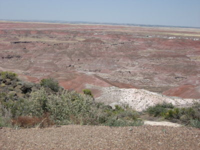 IMG_4591.JPG