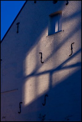 DSC05515_A_rs.jpg