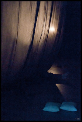 DSC08335_A_rs.jpg
