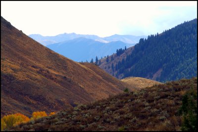 surrounding landscape