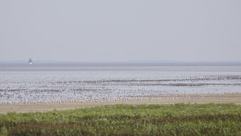 Westhoek, Fryslan, The Netherlands