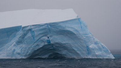 sea ice