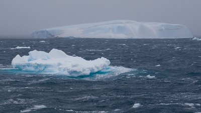 sea ice