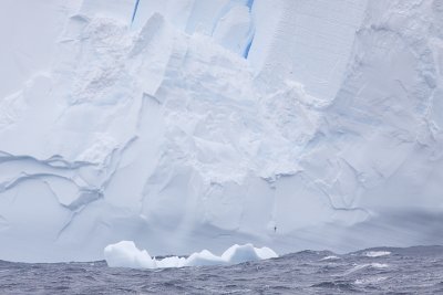 sea ice