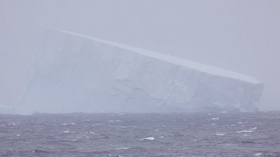 sea ice