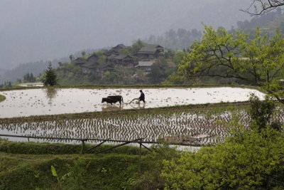 Guizhou Landscape0001.JPG