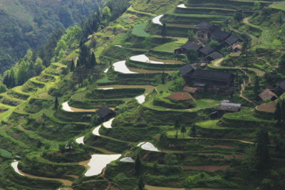 Guizhou Landscape0004.JPG