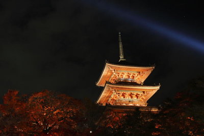 Kyoto Fall0022.JPG