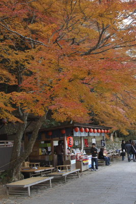 Kyoto Fall0033.JPG