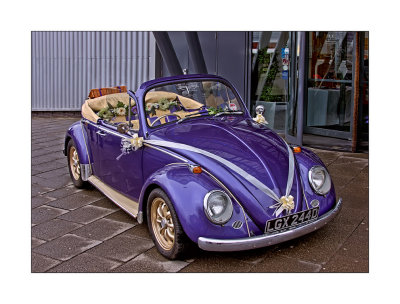 Purple-beetle-1.jpg
