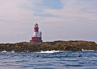 Lighthouse-and-seals.jpg