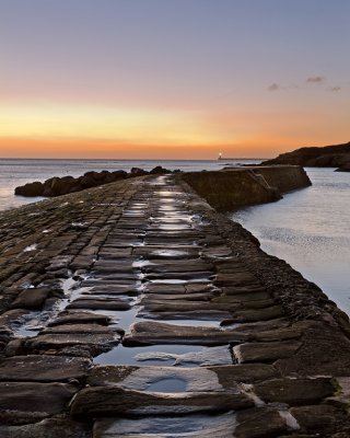 Harbour wall Cullercoats