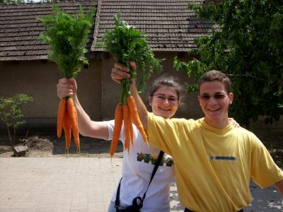 carrots!