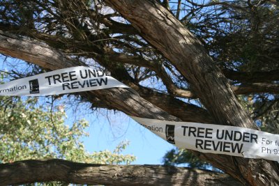 Tree bureaucracy 