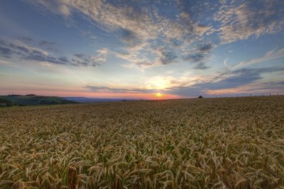 Sunset over the South Downs
