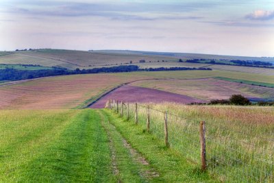 A stunning walk!