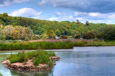 South Downs National Park