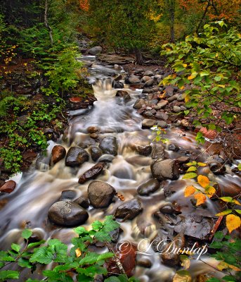  * 109.1 - Tofte:  Onion River, Early Autumn