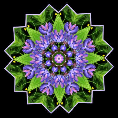 Lupine Quilt Kaleidoscope