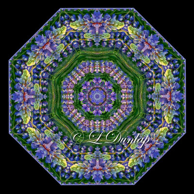 Lupine Carpet -- Northwoods Kaleidoscope