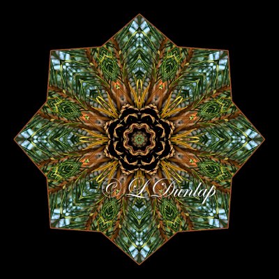 Pine -- Northwoods Kaleidoscope 4