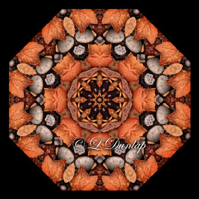 Dried Autumn Leaves and Stones -- Northwoods Kaleidoscope